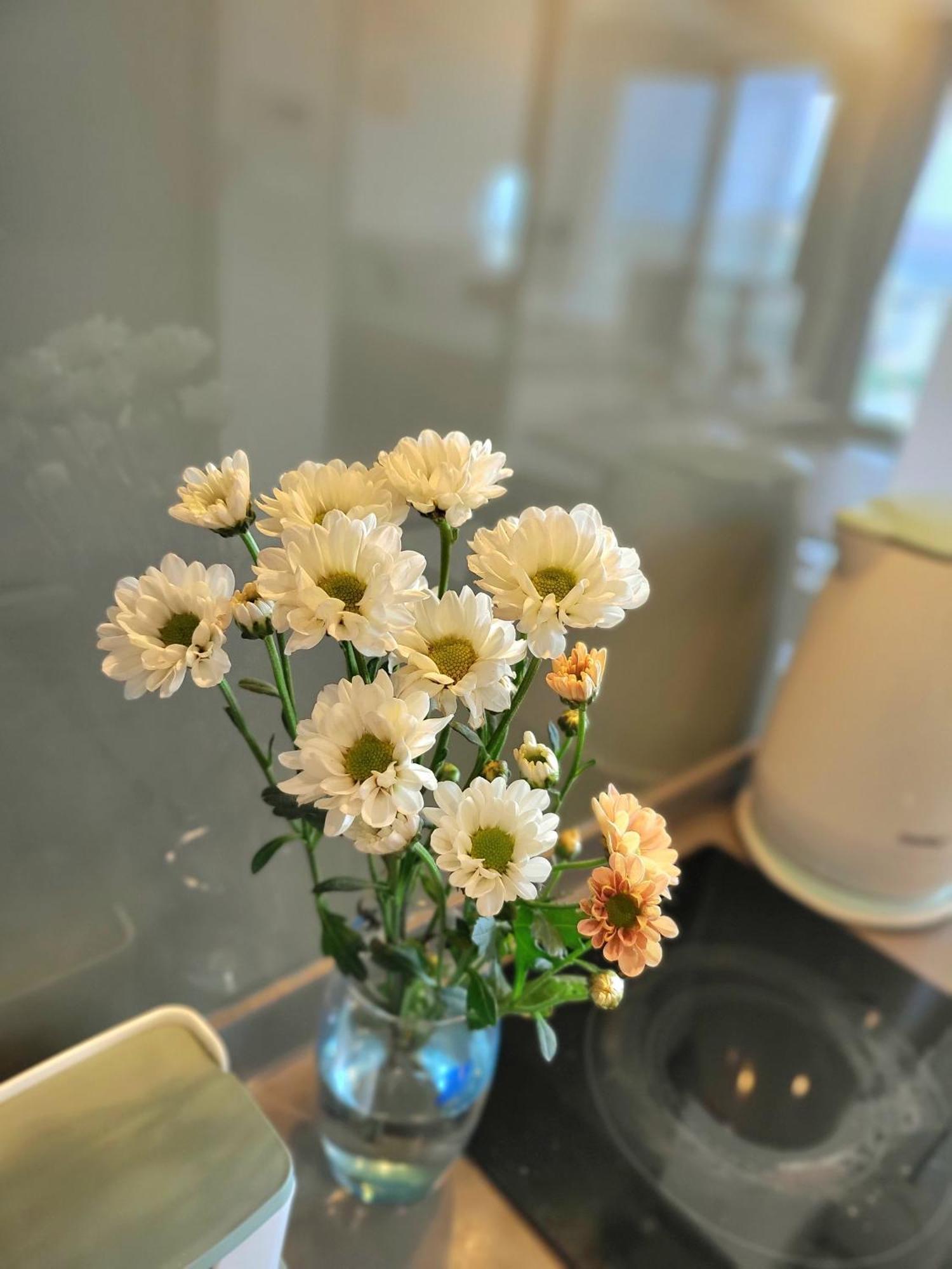 The Song Vung Tau Apartment 외부 사진